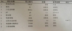 91视频下载地址GK-Y全自动阴道分泌物91视频在线看厂家科普“白带常规”查看报告！